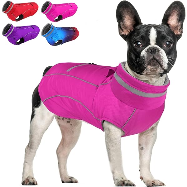 Doglay Waterproof Dog Coat, Reflective Dog Winter Jacket with Pocket & Turtleneck, Warm Puppy Snow Jacket for Small Medium Large Dogs - Pink, M