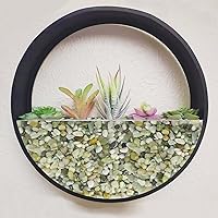 Vista 7 de GASPRO Guijarros de 2.5 libras para plantas de interior, guijarros decorativos de 3/8 pulgadas para bambú, jarrón, suculentas, superficie altamente