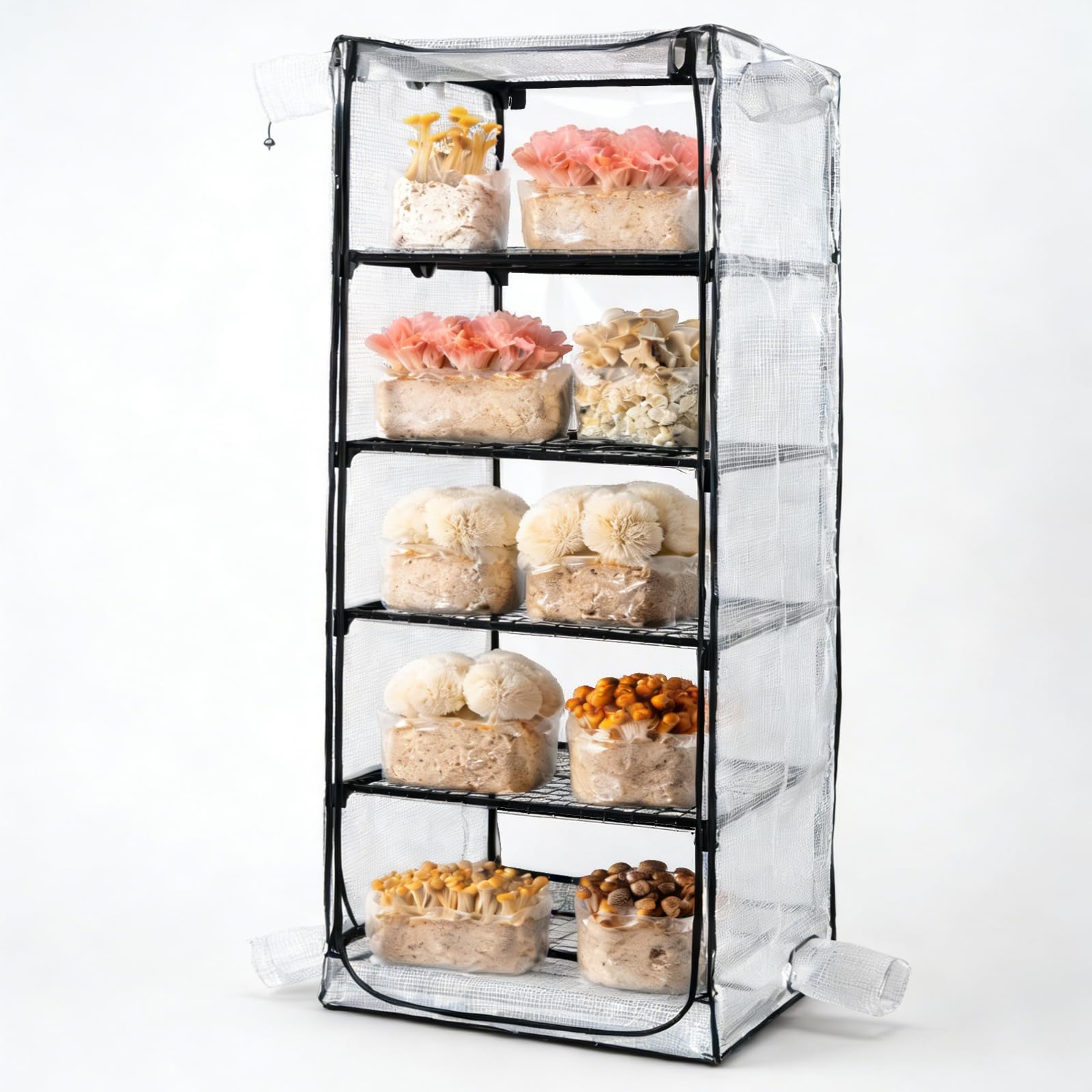 Mushroom Grow Tent, Martha Tent for Mushroom Growing kit, Mini Greenhouse Indoor, sturdy racks can accommodate a variety of mushrooms, including trays, fruiting blocks & grow kits (Mushroom Grow Tent)