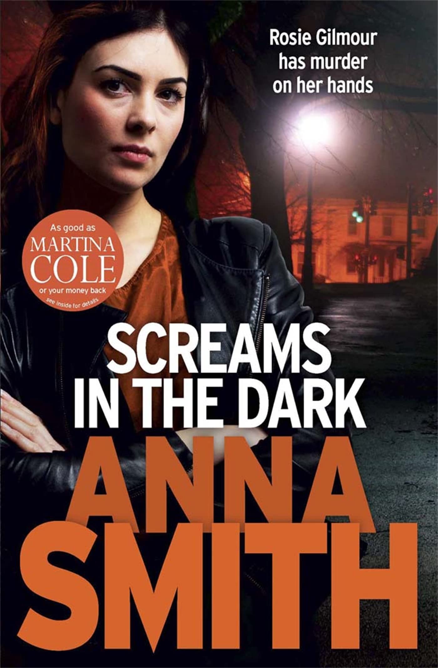 Screams in the Dark: a gripping crime thriller with a shocking twist from the author of Blood Feud (Rosie Gilmour)
