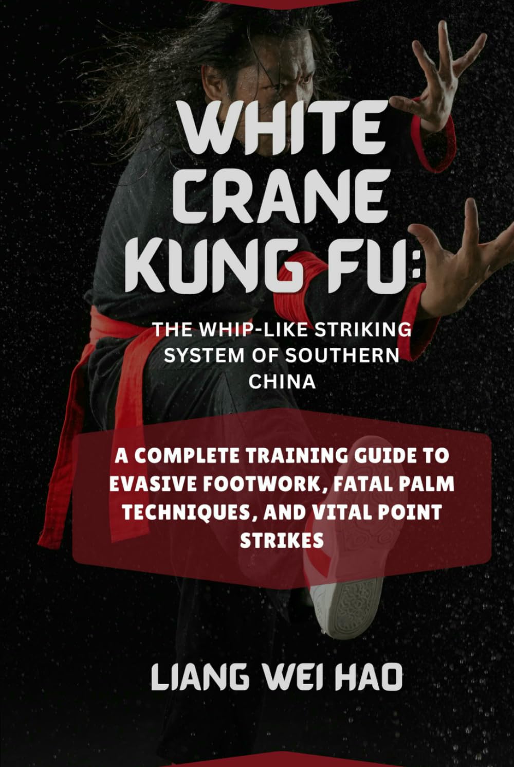 White Crane Kung Fu: The Whip-Like Striking System of Southern China: A Complete Training Guide to Evasive Footwork, Fatal Palm Techniques, and Vital Point Strikes