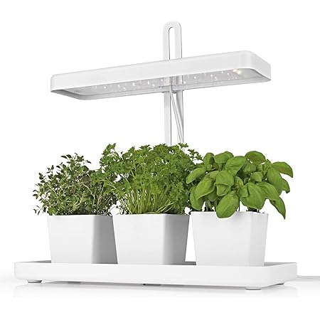 MAXXMEE LED-Pflanzenleuchte 3 Töpfe | Höhenverstellbar, unterstützt Pflanzenwachstum | Modernes Design | 3 Töpfe für Pflanzen, praktische Timer-Funktion [weiß]…