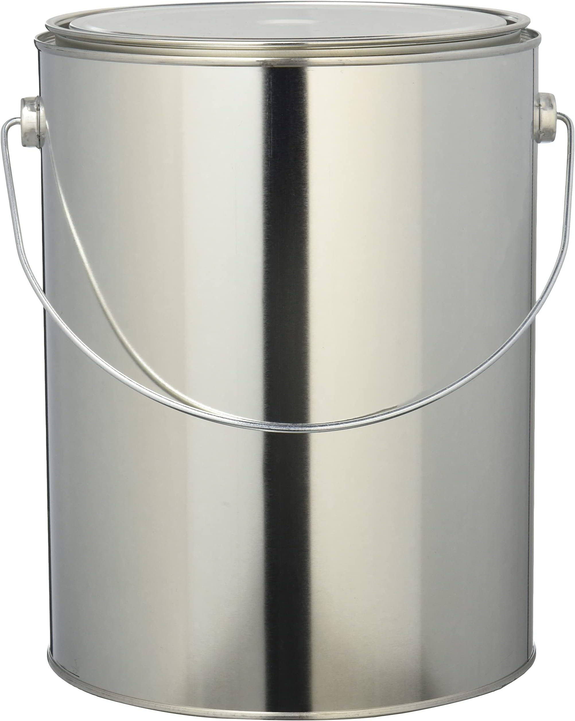 Amazon | 密閉性良好 ダブルふた 丸 空缶 手付 4L 缶/ブリキ缶 丸缶 4kg あき缶 無地缶 塗料 小分け 4000ml ...