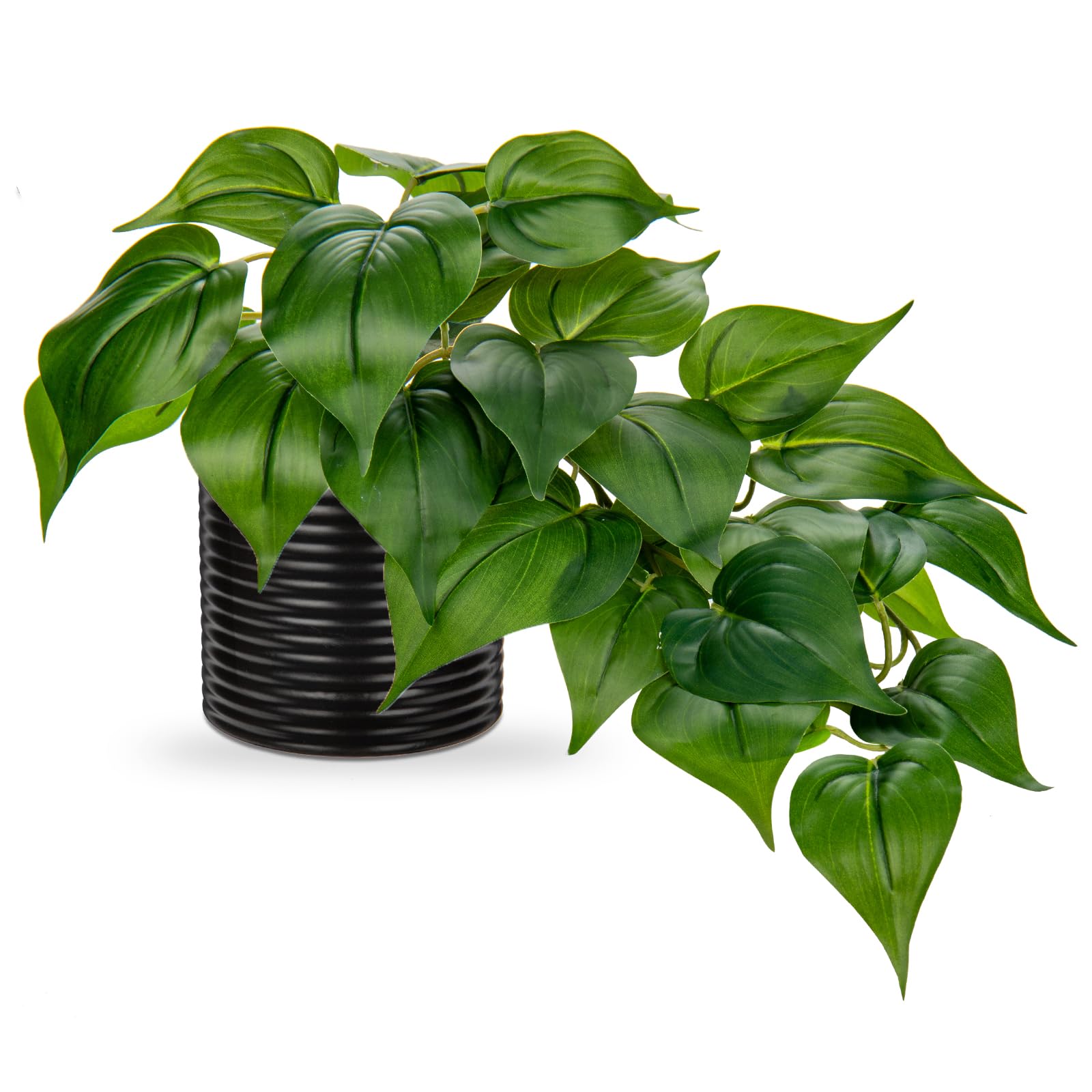 Hollyone Artificial Plants in Ceramic Pots, Fake Jade Pothos Decorative Faux Potted Plants, Realistic House Plant Indoor for Home Décor, Bathroom, Living Room, Kitchen, Shelf, Office Decorations