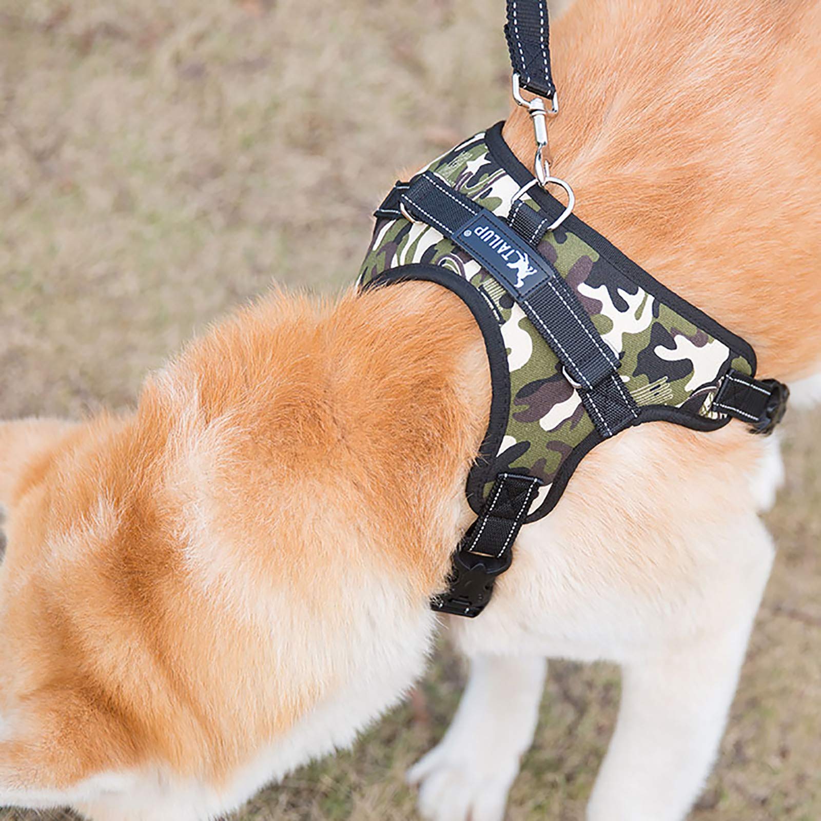 犬ハーネス 引っ張り防止 胴輪メッシュ生地 (Lサイズ) Amazon | 犬用