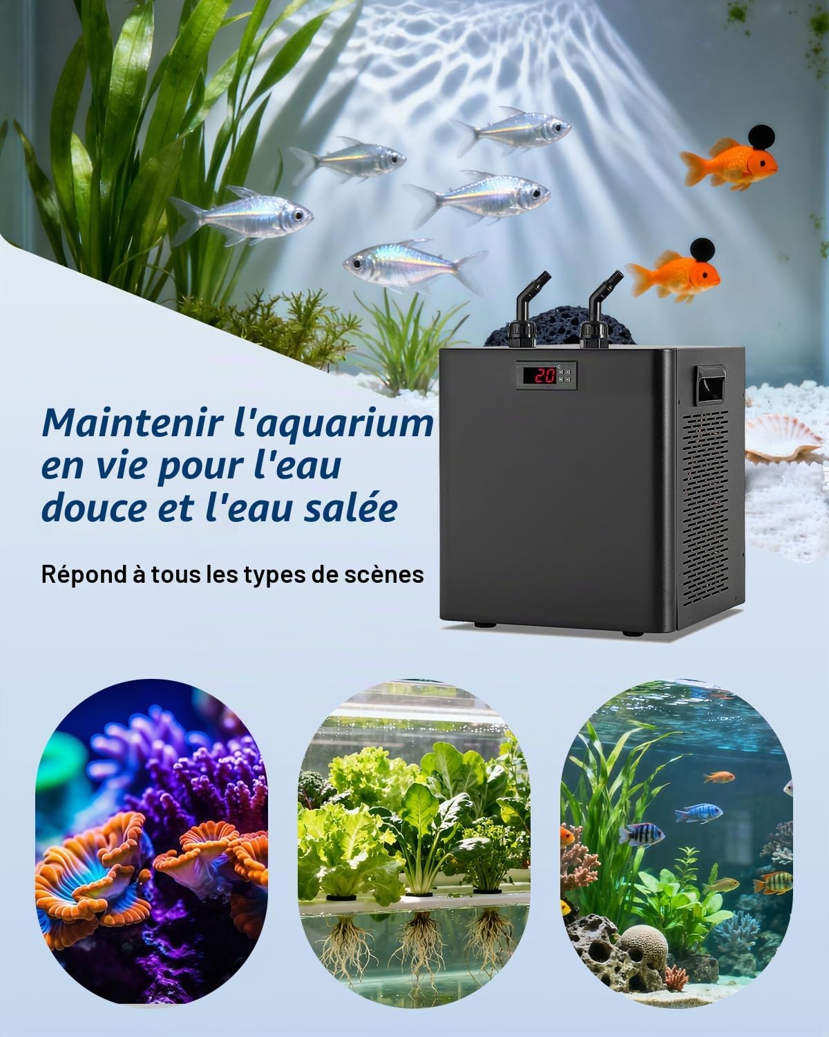 BAOSHISHAN Refroidisseur d'aquarium 300 L, 600 W | Système de refroidissement de bac à poissons pour axolotls/coraux/hydroponie intérieure, eau douce et eau de mer