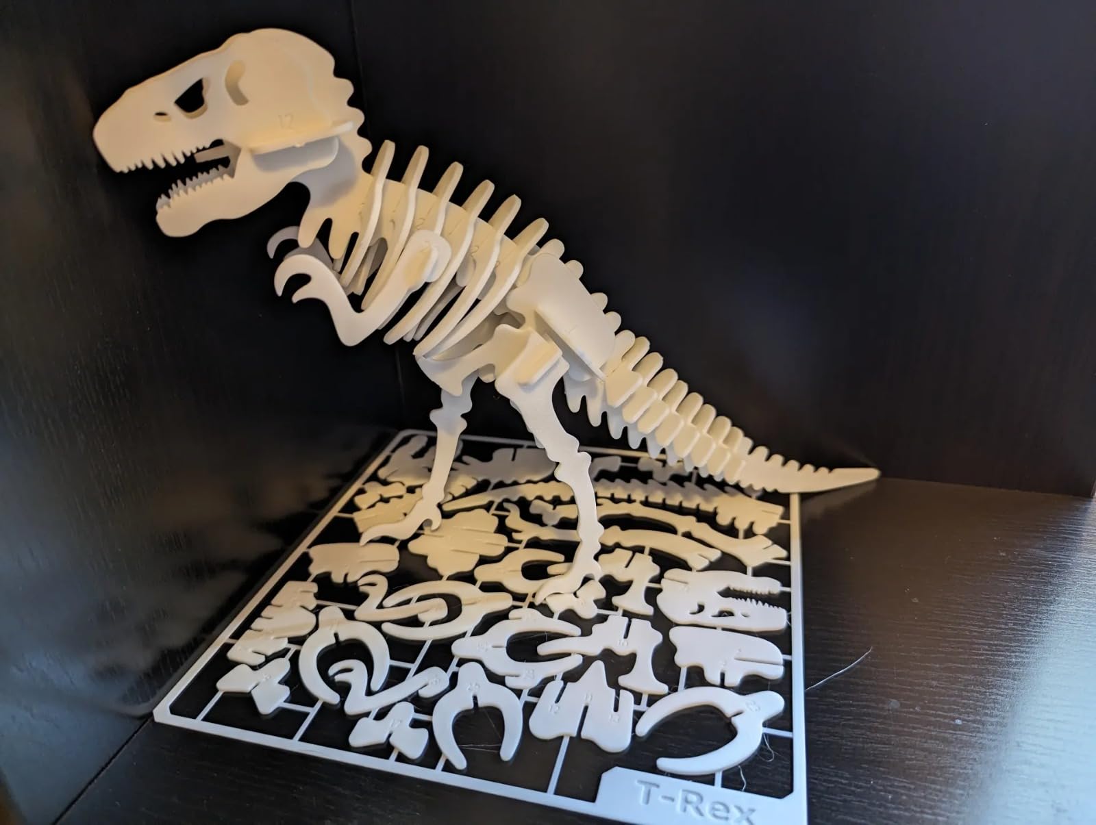 Beoals 3D Puzzle Dinosaur Skeleton Model Kit, White, Educational Assembly Toy 1