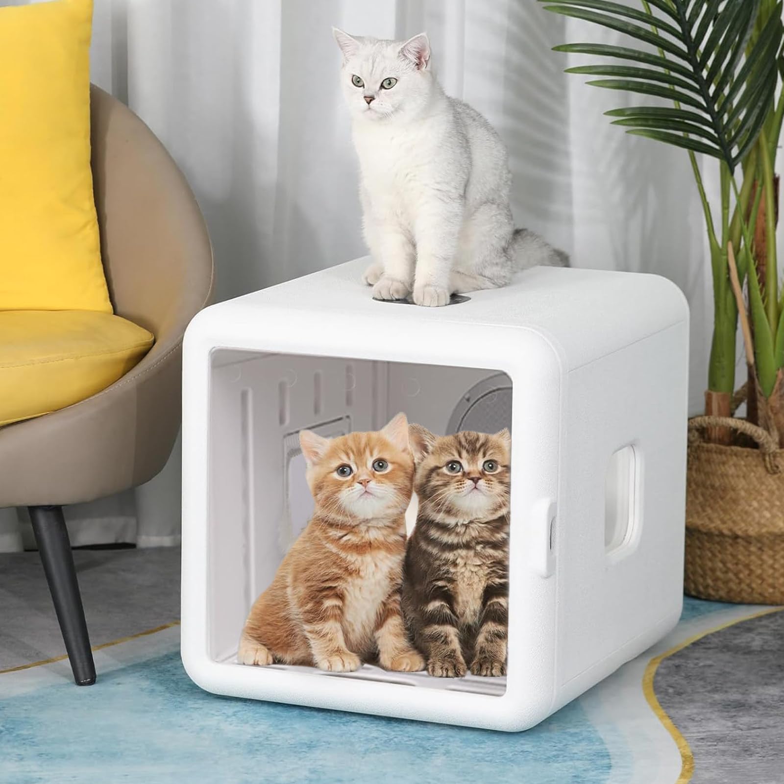 Secador automático para mascotas para gatos y perros pequeños, máquina secadora para gatos de secado 360 con temperatura ajustable y caja secadora para gatos ultra silenciosa y segura, 65L,110V
