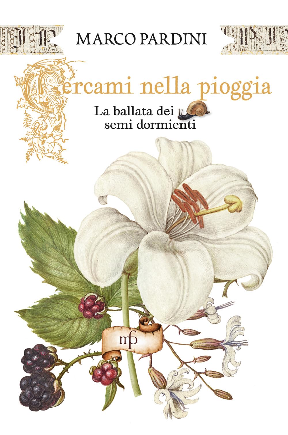 Cercami Nella Pioggia. La Ballata Dei Semi Dormienti - 4