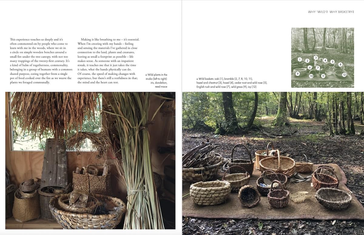 Wild Basketry: Making baskets and natural cordage from foraged plants