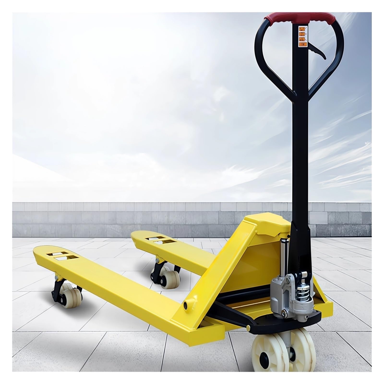 Transpallet Transpallet idraulico manuale con maniglia e pedale(3000KG,S)