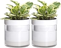 Vista 11 de Phoenix Vine Maceta de riego automático de 4 pulgadas, maceta de arcilla de terracota con depósito de vidrio para plantas de interior, hierbas