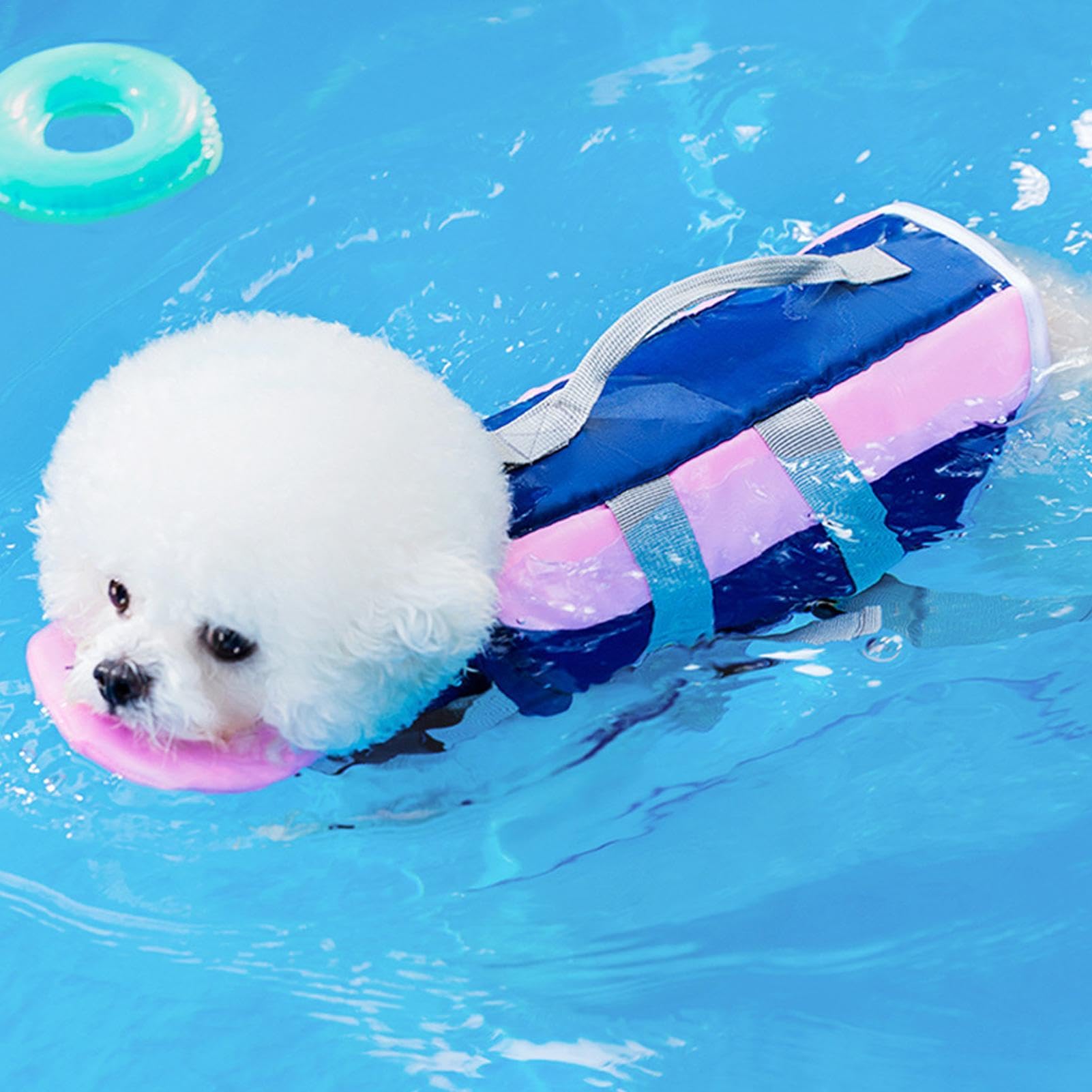 Gilet di galleggiamento per cani, regolabile, per cuccioli | Costume da bagno salvagente ad alto galleggiamento, con maniglia di salvataggio per cani, per piscina e spiaggia