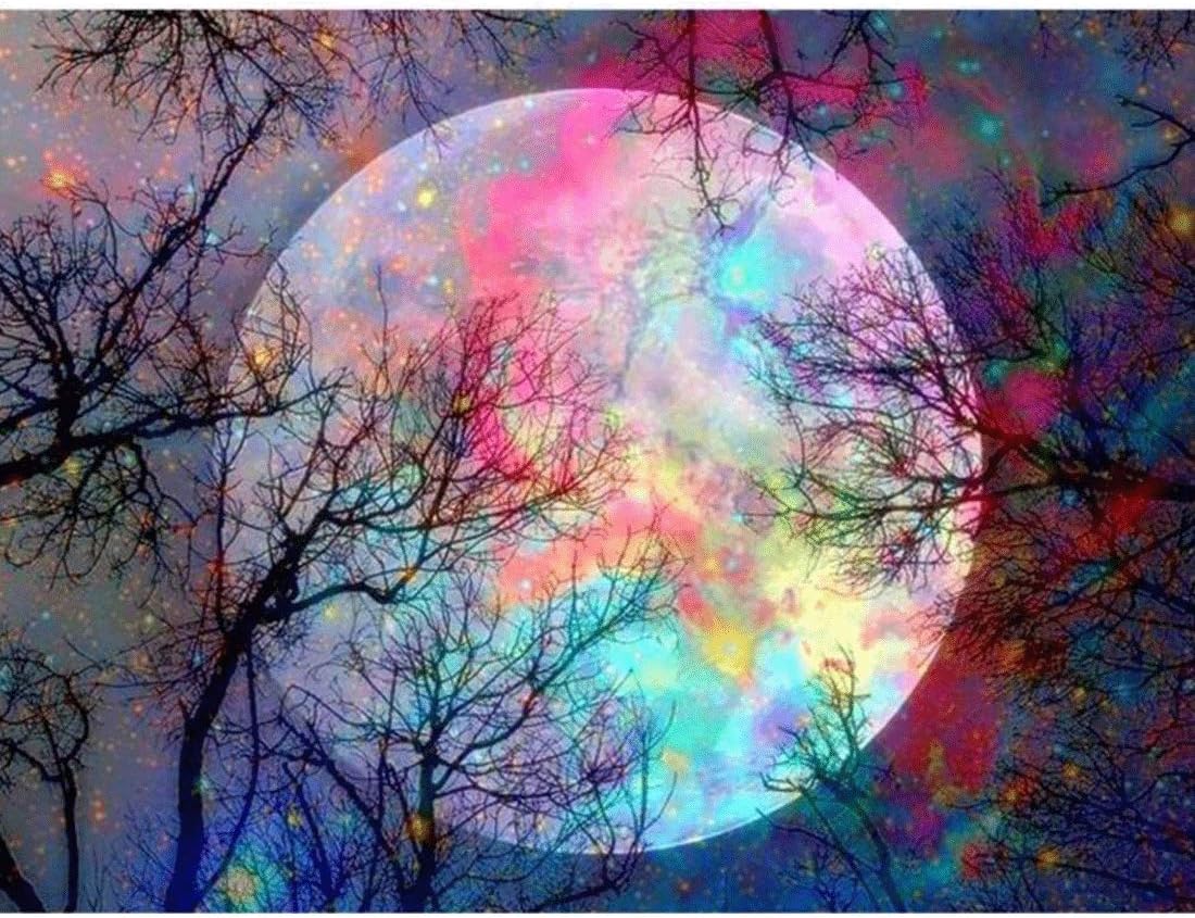 Artoree DIY 5D Diamond Painting by Number Kit for Adult, Full Drill Diamond Embroidery Kit Home Wall Decor-20x14" Colorful Moon