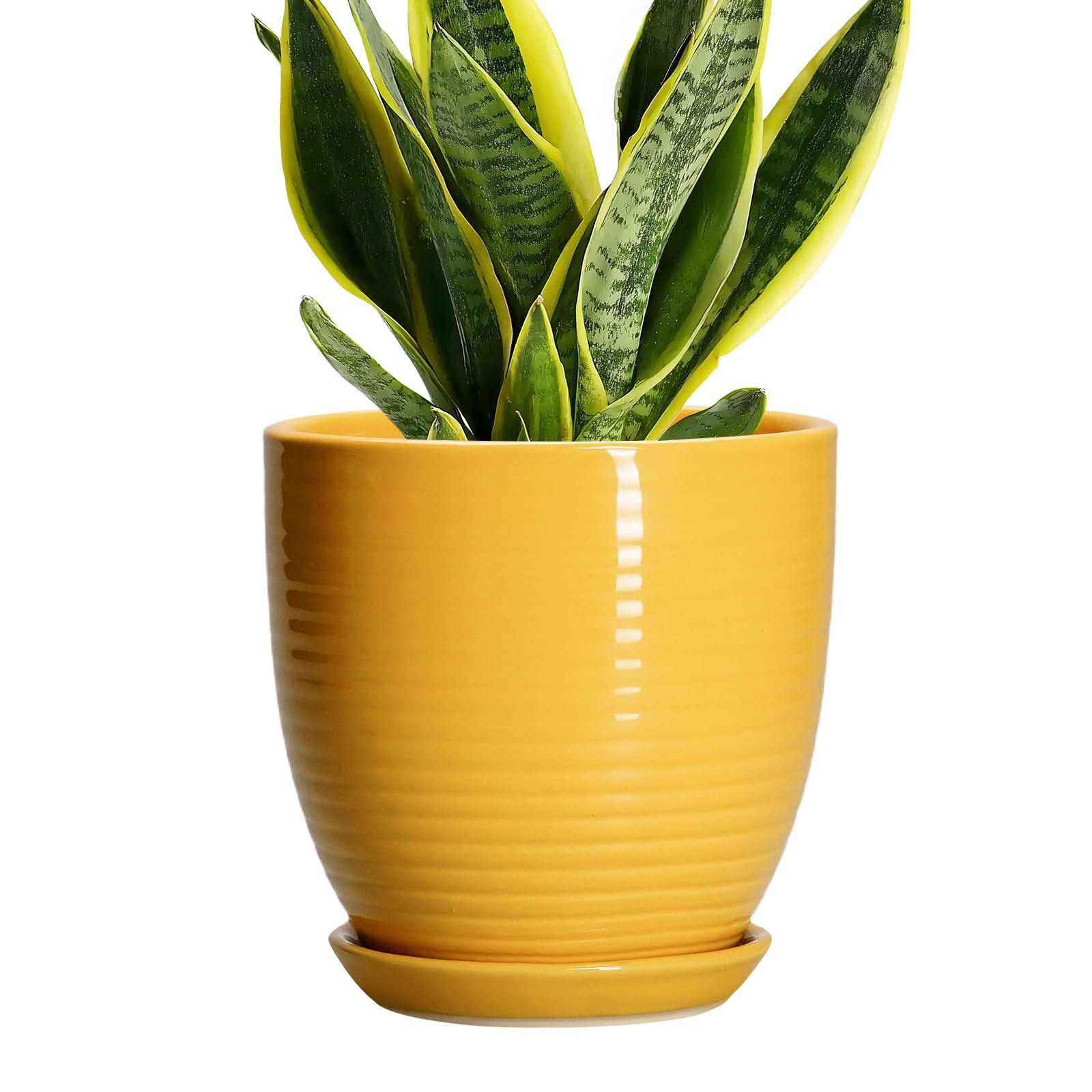 EPFamily Glossy-Yellow Ceramic Planter