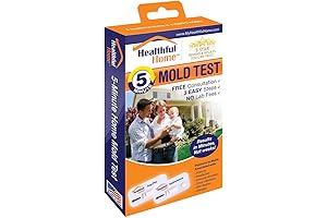 Professional Grade 5-Minute Mold Test