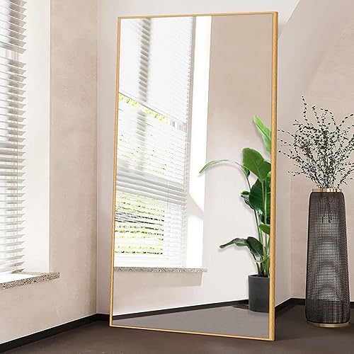 Miniatura 25 de NeuType - Espejo de cuerpo completo, espejo de pie de cuerpo completo, 64 x 21 pulgadas con soporte, espejo de pie para colgar o apoyar contra