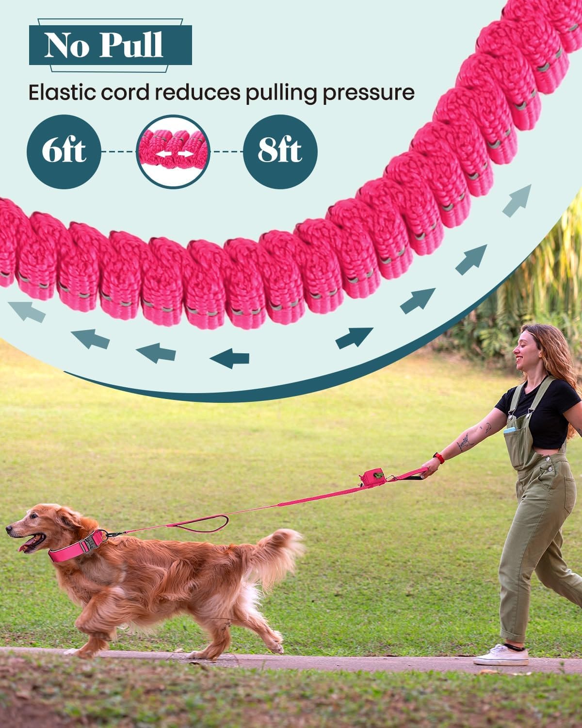 Dog Collar and Leash Set, 6-8 FT Bungee Leash, Heavy Duty 2 in Wide Collar for Large Dogs, with A Dog Poop Bag Holder for Leashes