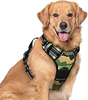 Vista 103 de rabbitgoo Arnés para perro, arnés sin tirones para mascotas con 2 clips para correa, chaleco acolchado suave ajustable para perro, chaleco Oxford