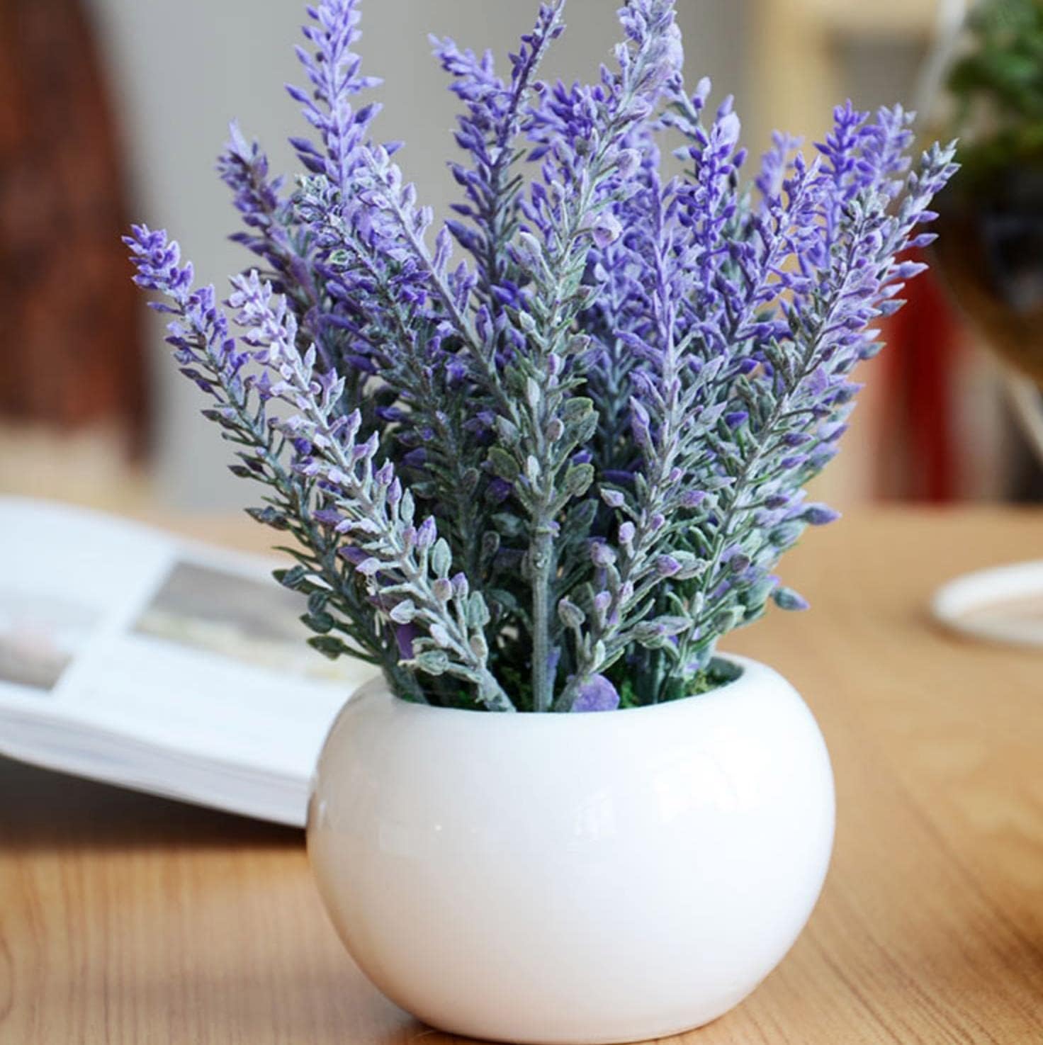 5000+ Rare Lavender Flower Seeds for Planting Patio