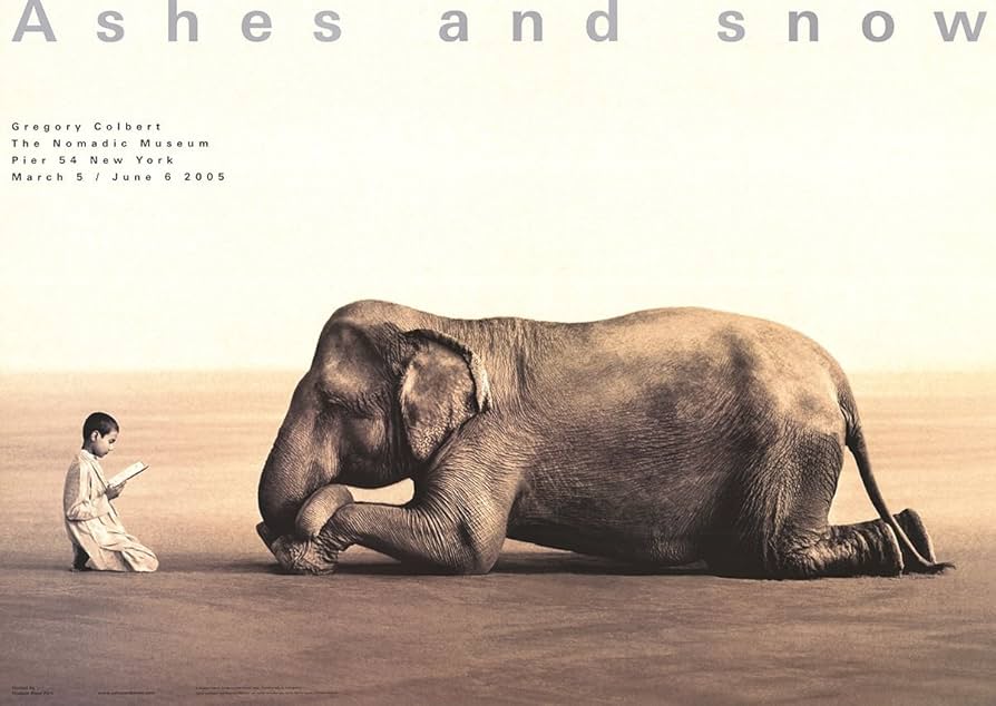 Amazon.co.jp: GREGORY COLBERT Boy Reading to Elephant (lg) 35.5