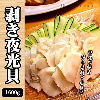 『koma』【特売167-①〜③】沖縄県産夜光貝 yakougai-s1.jpg