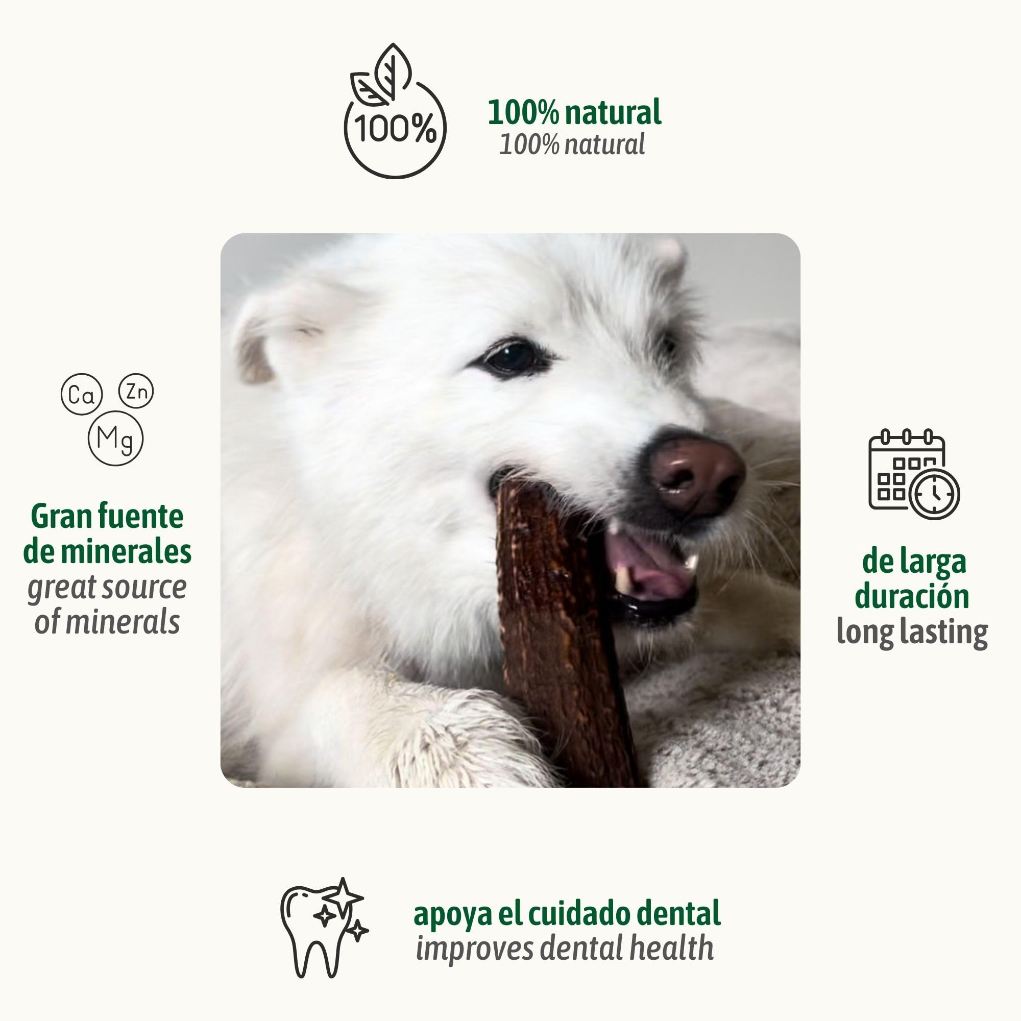 ChronoBalance XL Asta de Ciervo para Perros, 100% Naturales Piezas Enteras, Palillo Masticable, Juguetes para Perros, Tratar Cuidado Dental, Sin Aditivos, Larga Duración, Conjunto de 5