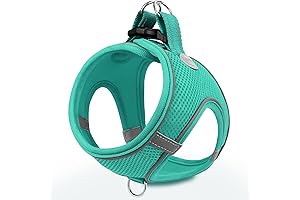 Joytale Tiny Dog Harness for Extra Small Dogs XS