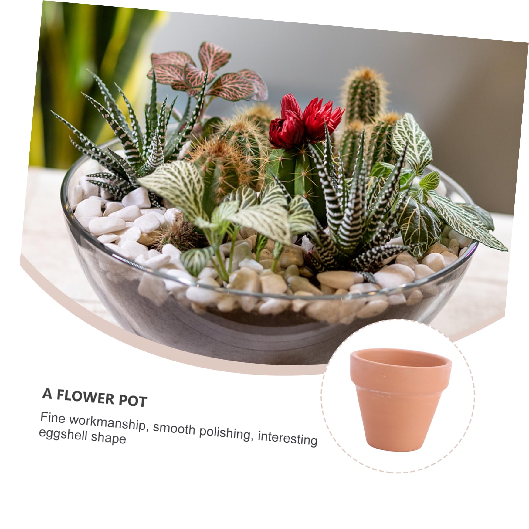 VANZACK Vasi Piccoli Fori di Drenaggio in Terracotta Rossa 10 Pezzi per Piante Succulente e Cactus per Decorazioni Casa e Bomboniere Shower