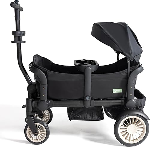 Joey Carros para niños, cochecito doble de próxima generación  Cochecito divertido y ligero construido con versatilidad y seguridad in Mind I All