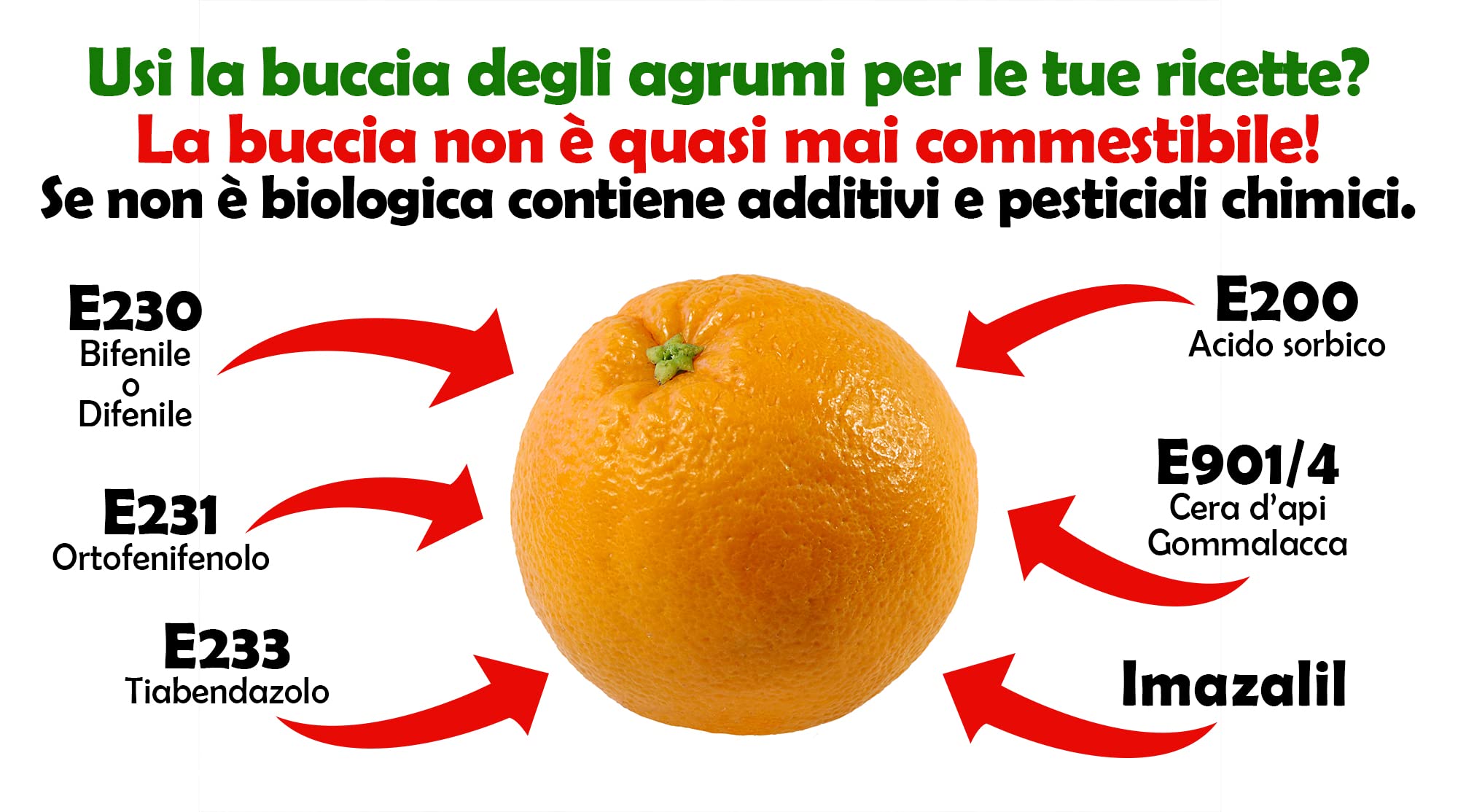 Arance 100% Siciliane e 100% Biologiche - Massima Freschezza e Sostenibilità, Arance Raccolte Direttamente dai Nostri Alberi - BIO 7 kg - - CERTIFICATE BIOLOGICHE, QUESTO FA LA DIFFERENZA!