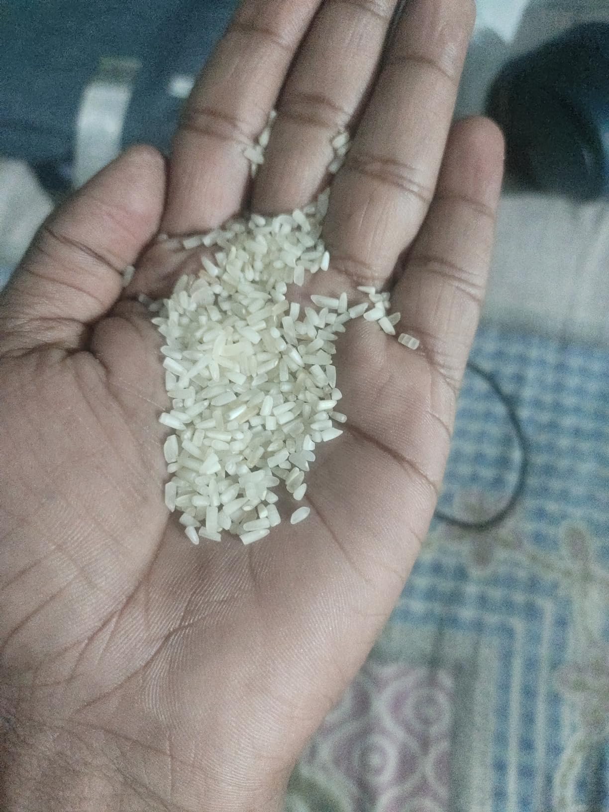 DAAWAT SEHAT MOGRA RICE 10KG : Amazon.in: Grocery & Gourmet Foods