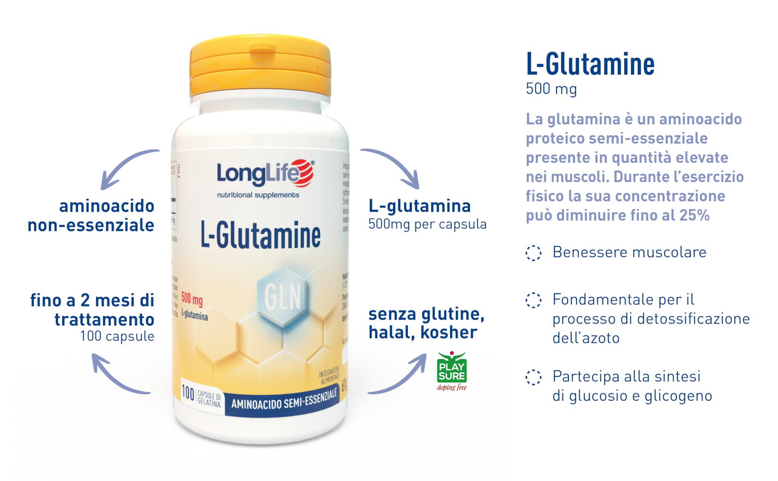 LongLife® L-Glutamine | 500 mg | Aminoacido semi-essenziale | Turnover proteico | Supporto muscolare | Alta purezza e qualità | 100 capsule di gelatina | Senza glutine e doping free