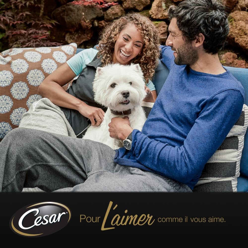 CESAR Repas pour Chien - 48 Sachets Fraîcheur (Lot de 4 Packs 12x100g) - Pâtée pour Chien en Sauce - Boeuf/Poulet/Agneau/Dinde - Nourriture Complète & Equilibrée avec des Ingrédients Naturels