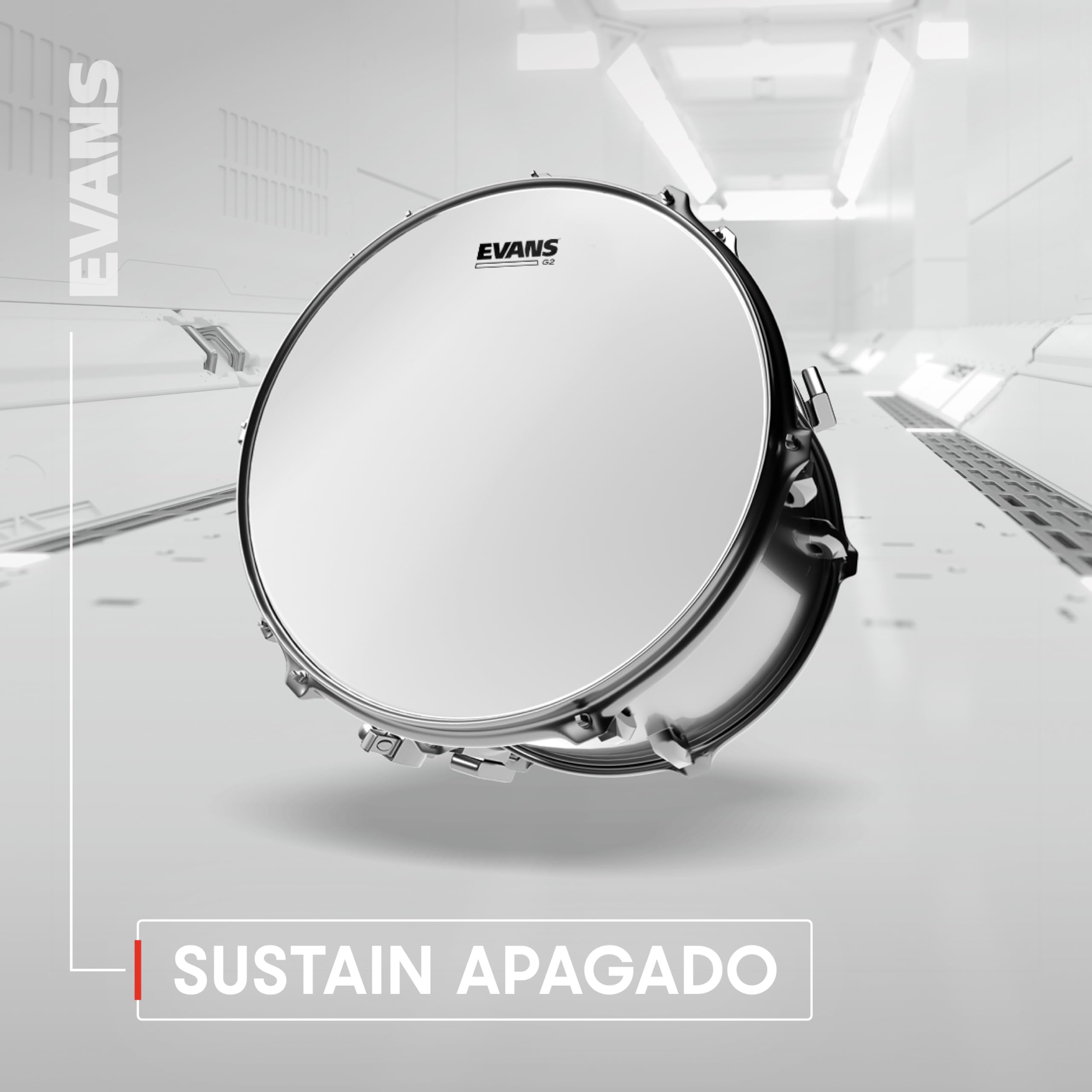 Evans BD20G2 - Accesorios para batería