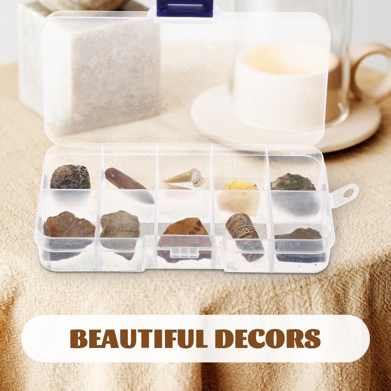 Baluue Juego de fósiles con 10 cajas de fósiles paleontológicos trilobita ámbar y piedra natural para coleccionistas de enseñanza científica y decoración