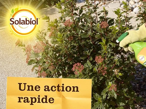 SOLABIOL Anti Pucerons - Pulvérisateur - Prêt A L'emploi - 750ml - Action Rapide - Agit Par Contact - Plantes D'Intérieur & D’Extérieur SOPUCPAL750N - 4