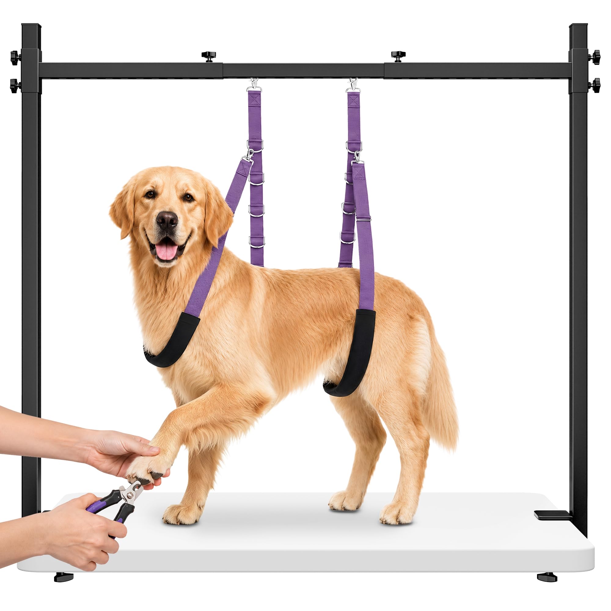 H-Shape Dog Grooming Arm for Table, 42" H, 26-50" W, with Grooming Loop Set | Heavy Duty, Adjustable Clamp-On Grooming Stand, with Grooming Loop and Belly Strap Set for Home Use, Nail Trimming & Drying