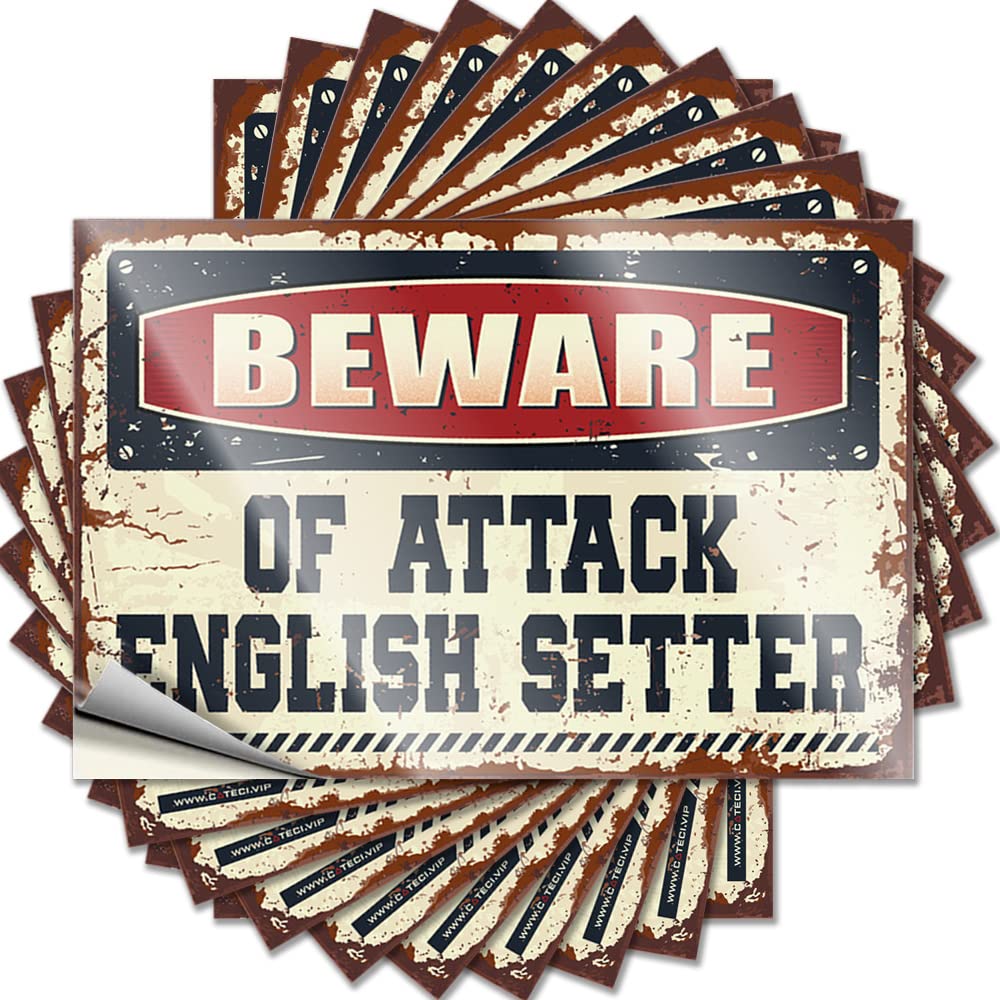 Fzfn Colour Lettering Sticker Snarky Lake House Decor Waterproof - Beware Of Attack English Setter Door Self Adhesive Decal For Adults Use(8X12cm)