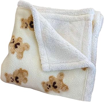 Teddy Bear Blanket, 28x39 Inch Cozy Warm Thick Throw Blanket, Cute Bear, Reversible Throw for Sofa, Bed, Couch