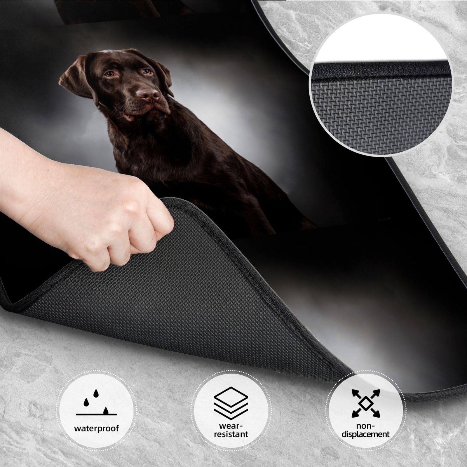 Labrador Retriever, 4er-Set Auto-Fußmatten, Neopren-Fußmatten für Fahrzeuge, rutschfeste Auto-Fußmatten, Autozubehör