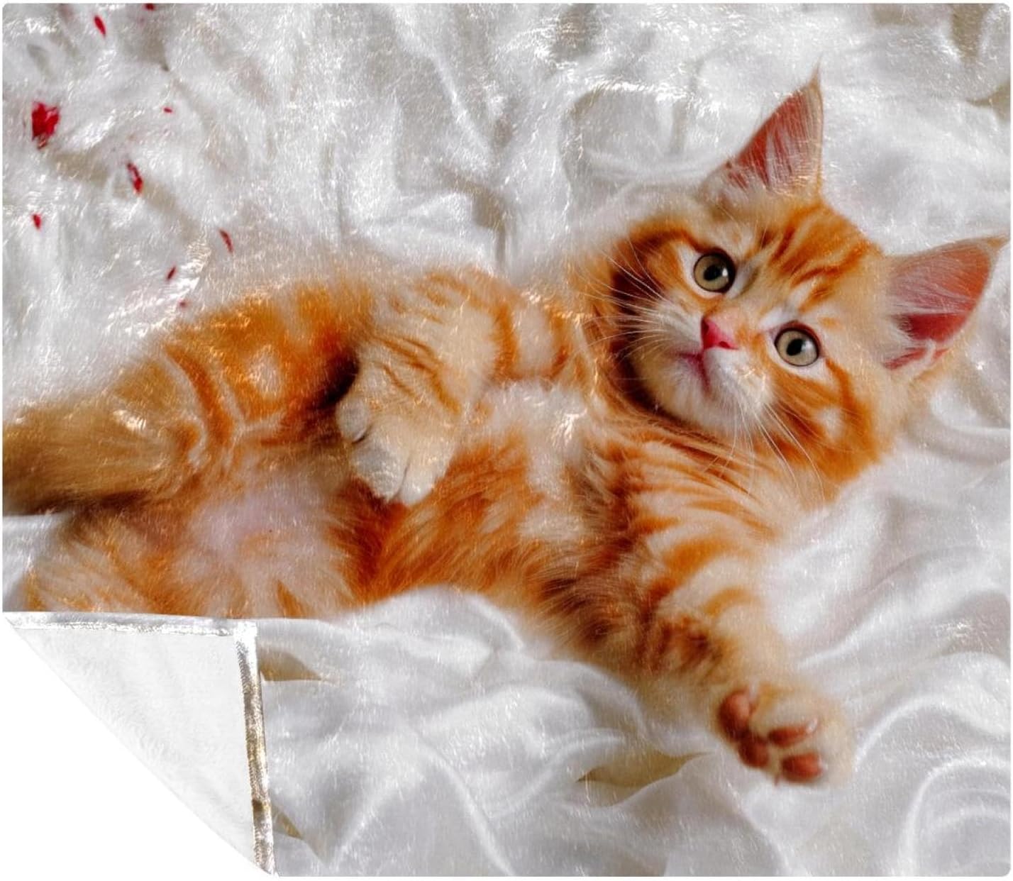 Throw Blanket for Couch,Soft Blanket & Throws,Blanket Pet Cats,59x51.1 in, Z0oh2colomdt