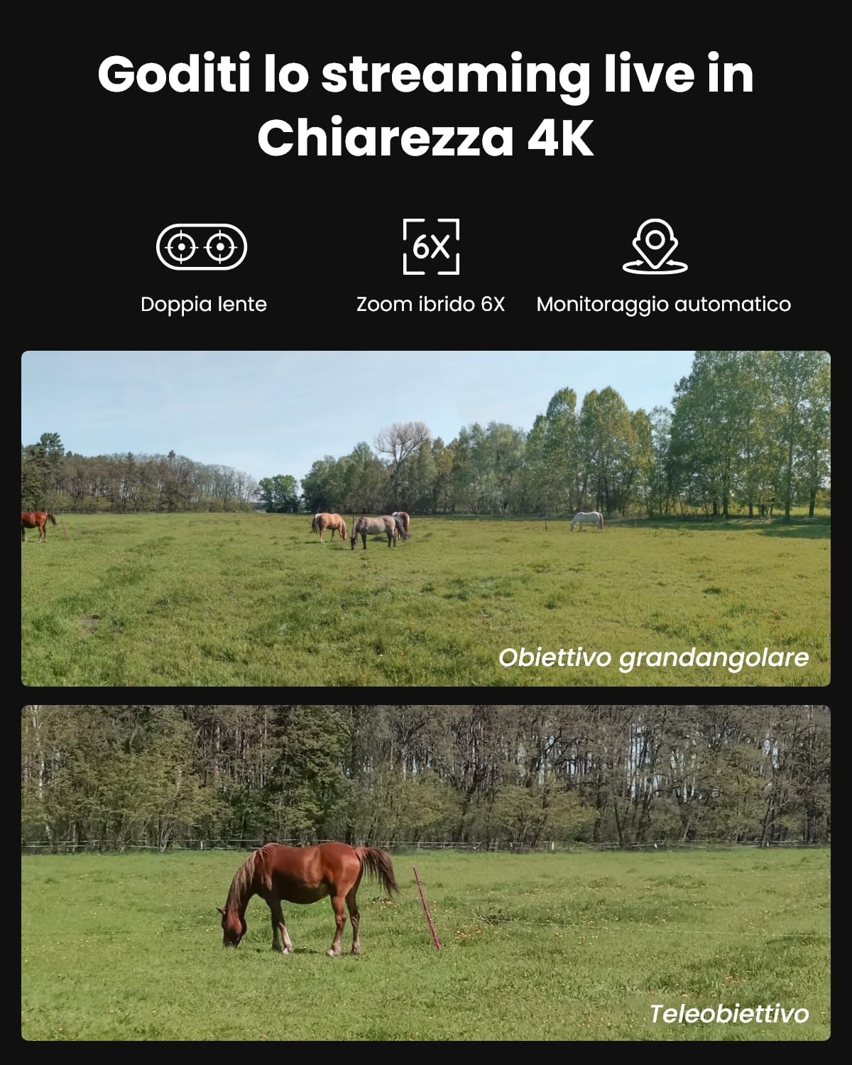 Reolink 4K Telecamera 4G LTE con Doppio Obiettivo, SIM Inclusa, Zoom 6X | Fototrappola con SIM e Pannello Solare, IR Invisibile, Telecamera da Esterno con Tracciamento Automatico, TrackMix LTE