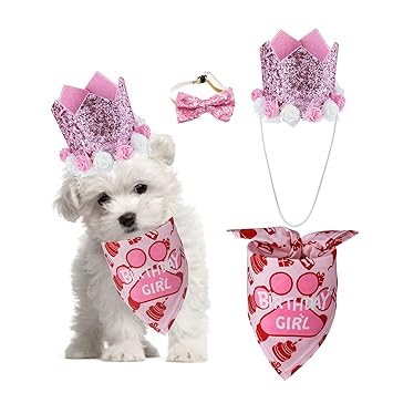 TCBOYING Dog Birthday Party Supplies, Dog Birthday Bandana Hat Girl Scarf with Cute Dog Bow Tie Collar for Small Medium Dog Pet ? (Pine)