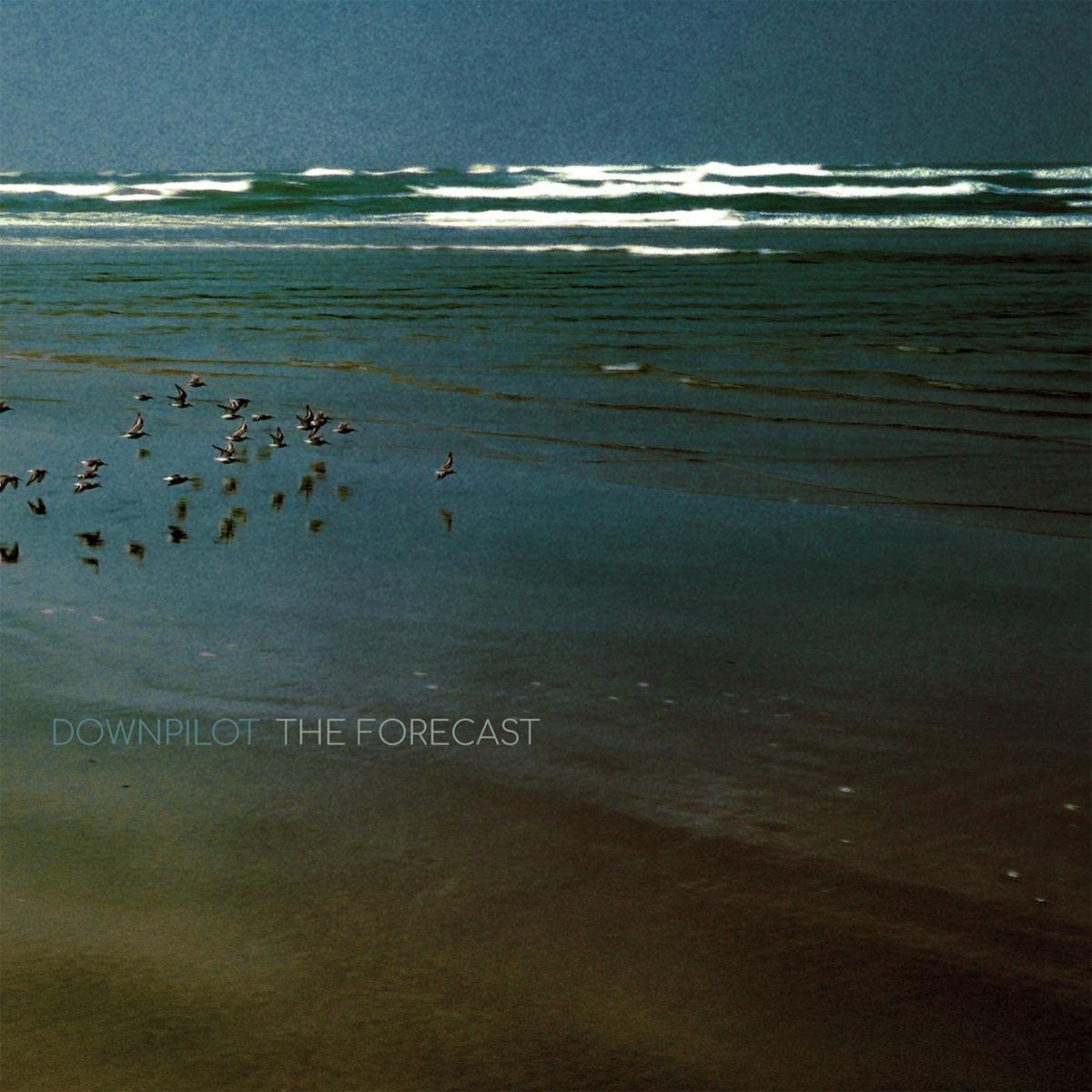 The Forecast [VINYL]