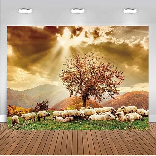 Miniatura 6 de Fondo de fiesta de paisaje de paisaje de árbol de ovejas y cielo de otoño de 7x5ft