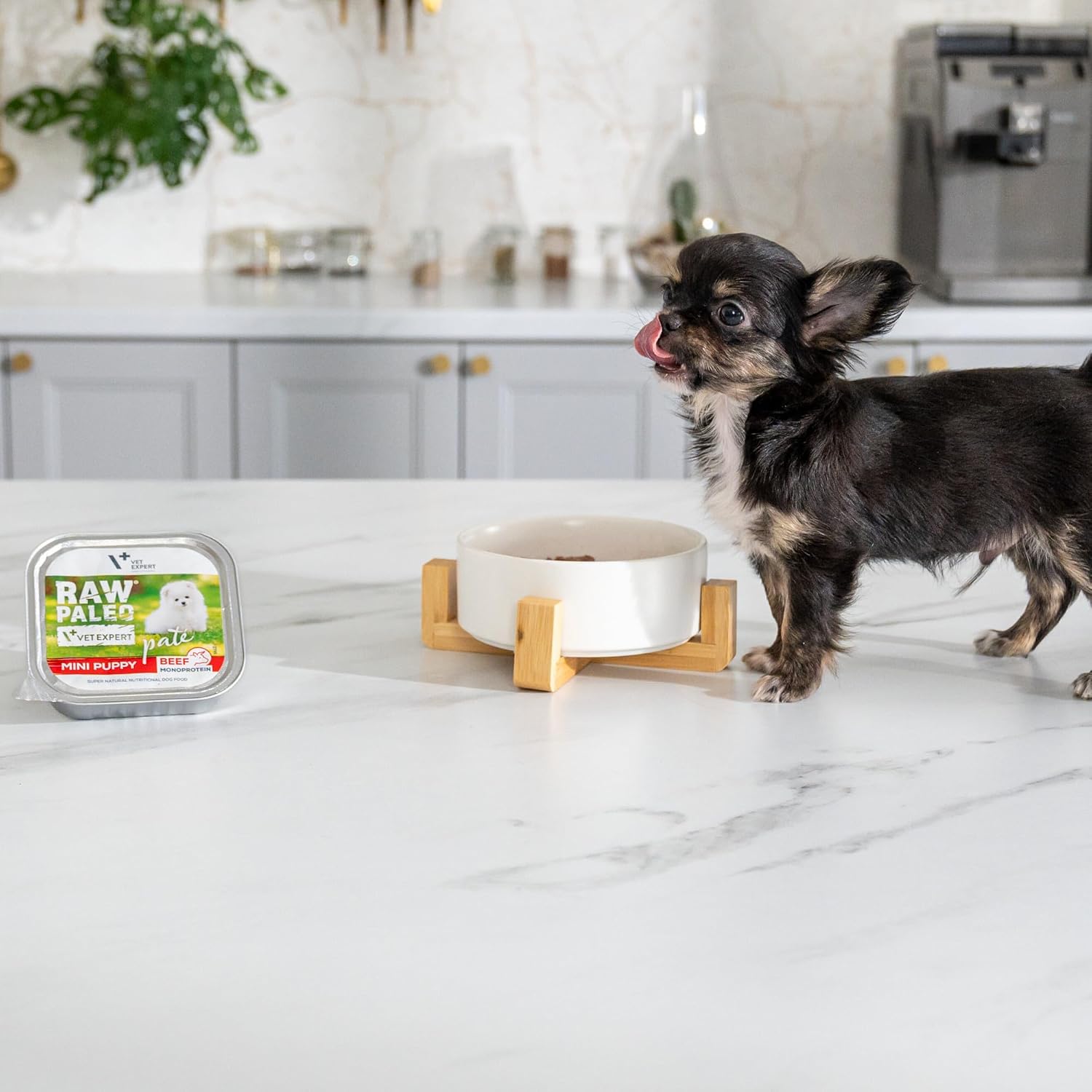PATE MINI PUPPY BEEF 1x150 г — влажный корм для щенков — говядина