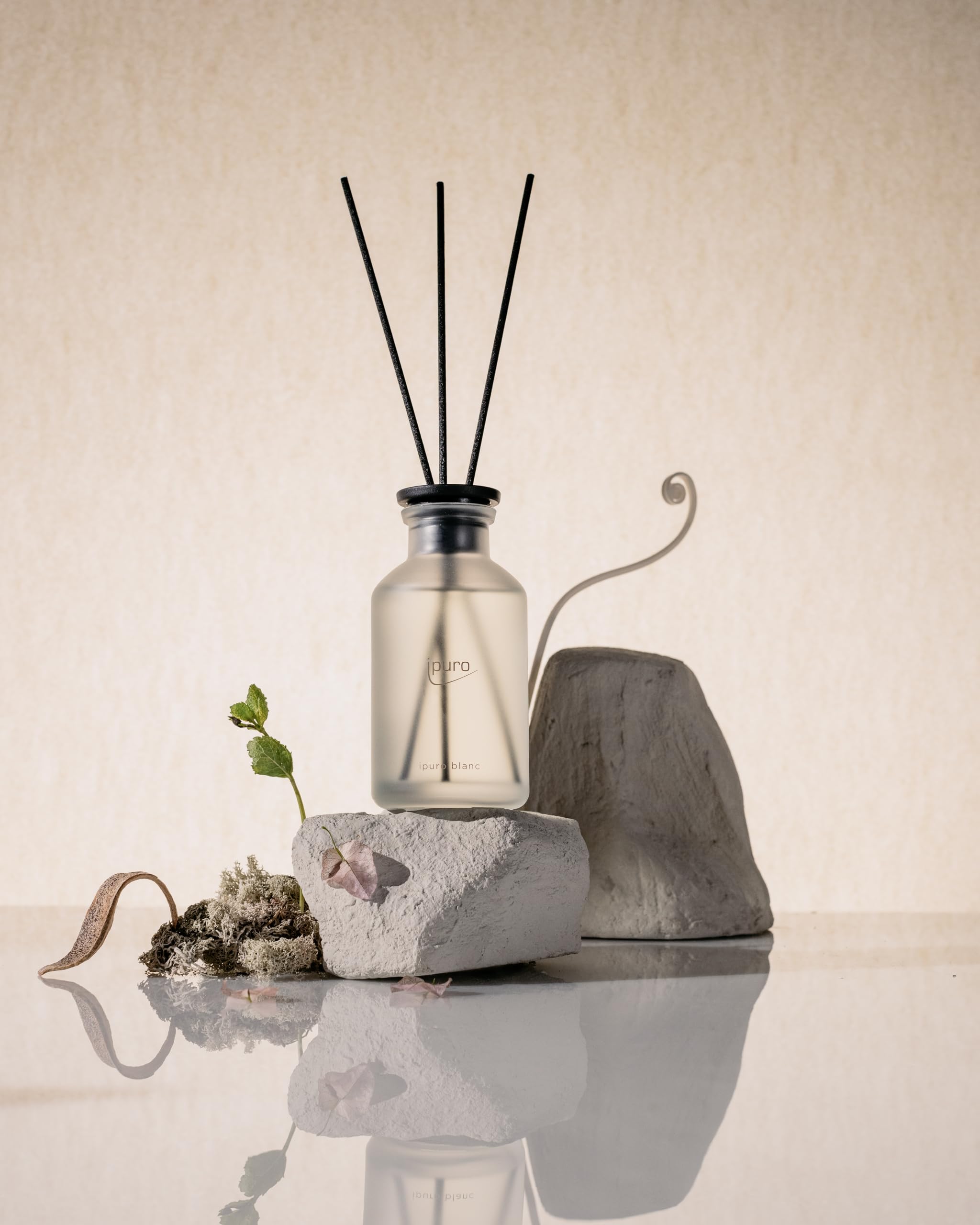 ipuro - Classic Raumduft Blanc - 240ml | Raumerfrischer mit Geranie, Minze & Sandelholz | Frischer Sommerregen Duft | Diffuser mit Stäbchen | Eleganter Lufterfrischer für die Wohnung (Packung mit 2)