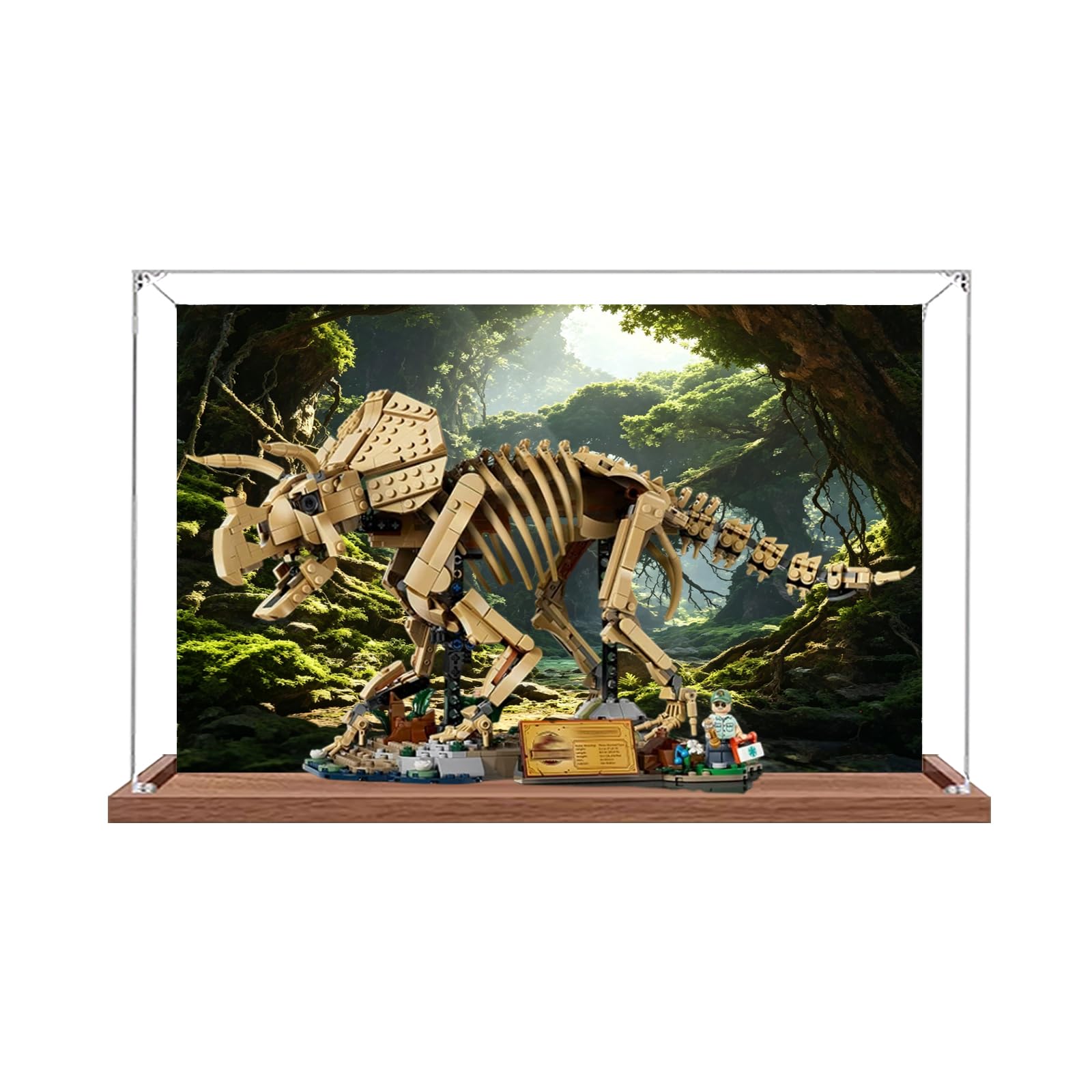 Acrylic Display Case for Lego 77985 Dinosaur Fossil: Triceratops Building Set, Dustproof Transparent Box - Only Display Case, Display Box Compatible with Lego 77985 (Back Spray (Base B))
