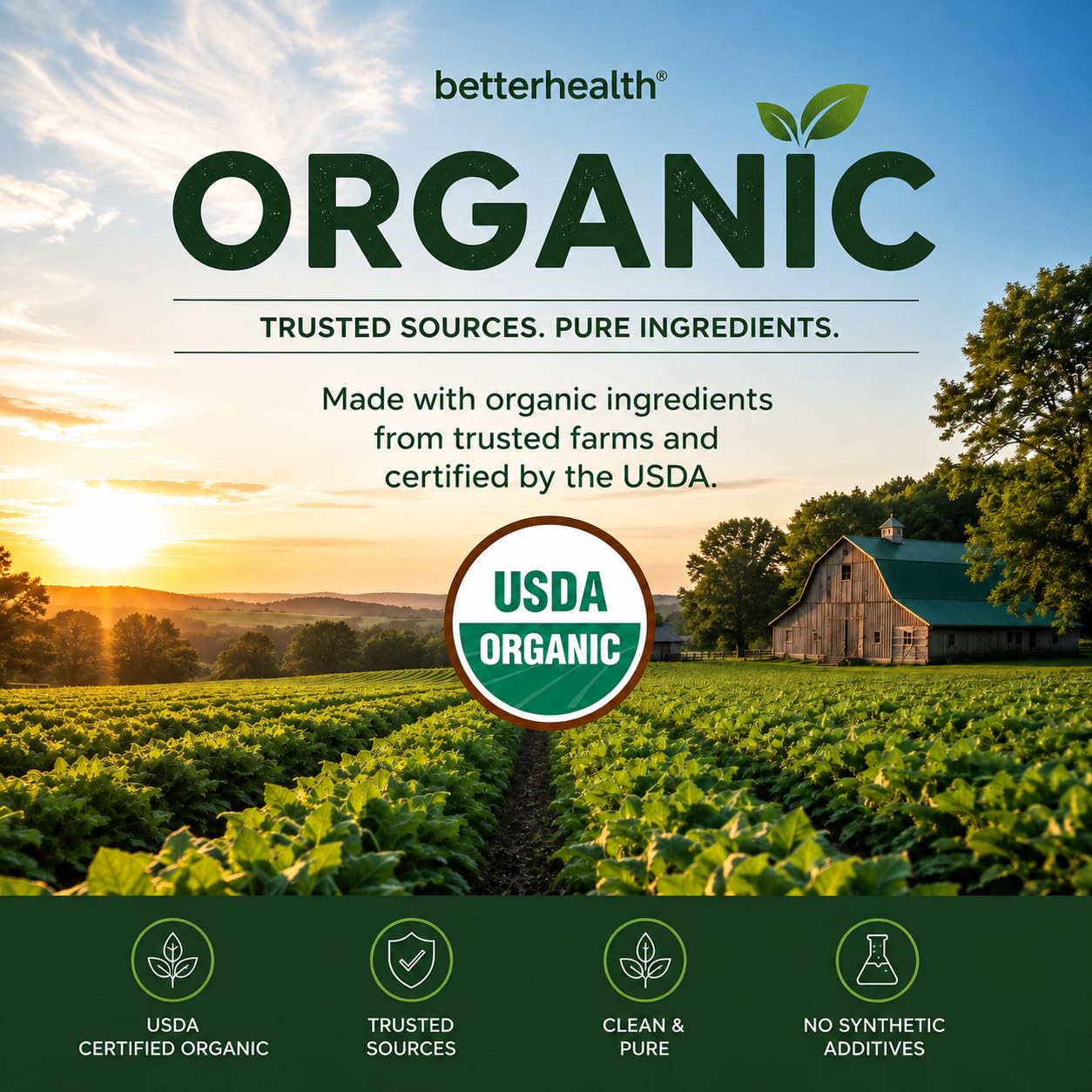 Organic Mullein Drops for Lung & Respiratory Support, USDA Organic Mullein Leaf Extract Liquid Supplement for Women & Men, Herbal Lung Health Formula, Made in USA, 2 oz — Amazon image 3